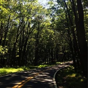 Meet your Posher, Sydney